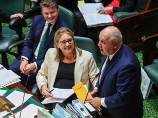 MELBOURNE, AUSTRALIA - NCA NewsWire Photos NOVEMBER 30, 2023 : Victorian Parliament question time during the last sitting day of the year. Deputy Premier Ben Carroll and Premier Jacinta Allan look on as the Treasurer Tim Pallas takes to his feet. Picture: NCA NewsWire / Ian Currie