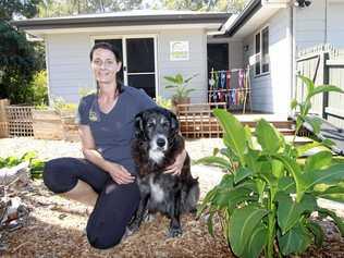 PAMPER POOCHES: Goodness For Paws owner Christina Schaumann with 'Ash' her seven year old Labrador-Border Collie cross wanted to let dog owners in the Fraser Coast region know about her holistic therapy for dogs business. Picture: Glen Porteous