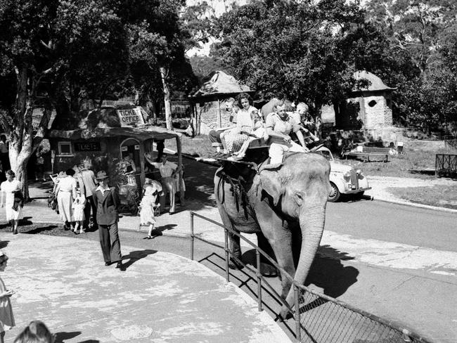 An elephant ride at Taronga Zoo in undated photo. Picture: State Library of NSW.