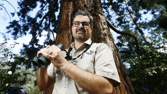 National public affairs manager at BirdLife Australia Sean Dooley says people are noticing birds more. Picture: Matt Thompson