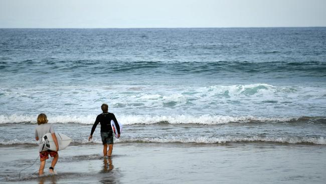 Shark nets could be removed entirely if councils along the NSW coast can ensure the safety of beachgoers. Picture: NewsWire / Jeremy Piper