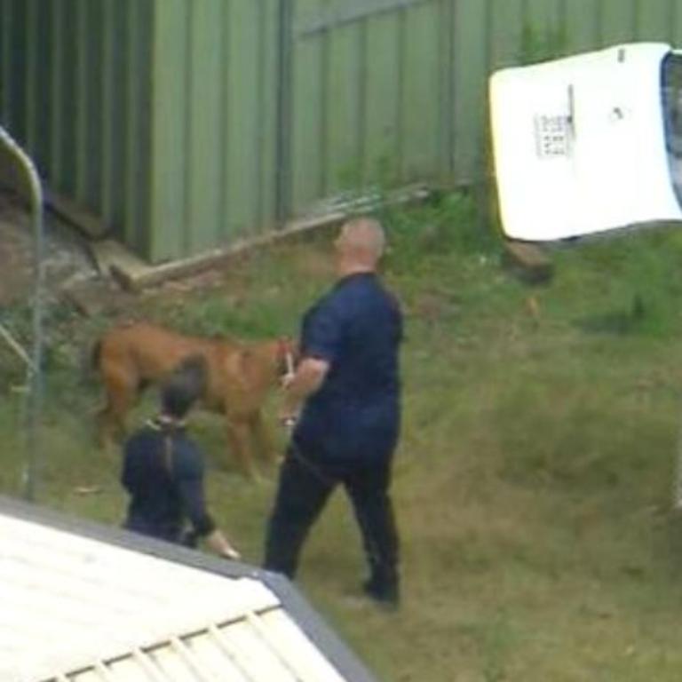 A dog is seized by an officer from the Logan City Council’s animal care division.