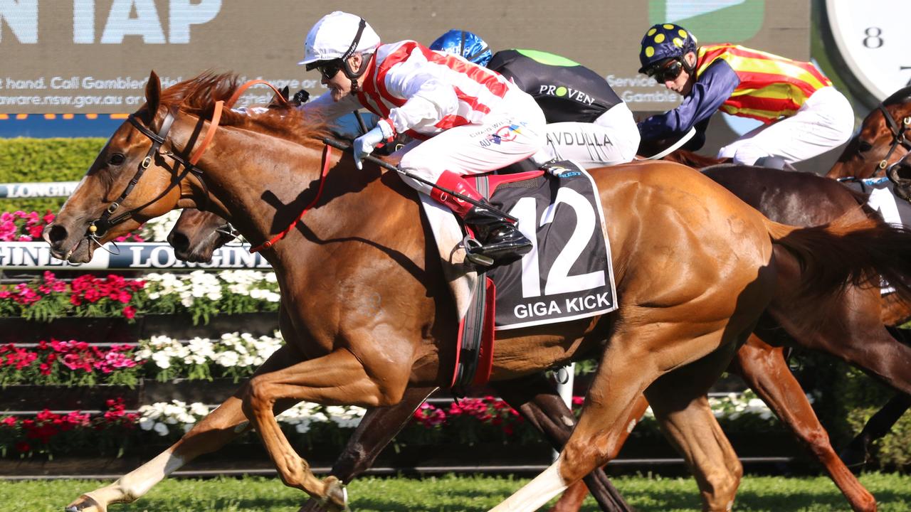 The Everest winner Giga Kick can start his autumn campaign with a win in the Group 2 Challenge Stakes at Randwick. Picture: Grant Guy