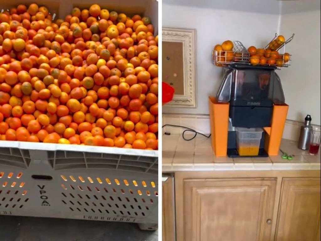 Stern filmed himself juicing tangerines, explaining that one of his favourite activities is to juice fruit, freeze it, and share it with friends. Picture: TikTok/Daniel Stern