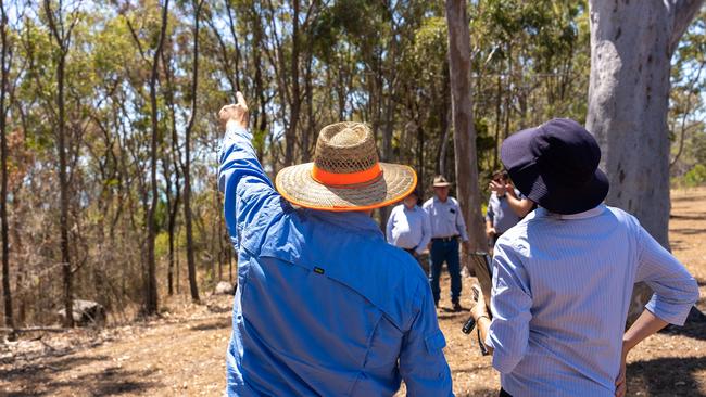 The council has fenced off the parklands in the past to ensure its rehabilitation