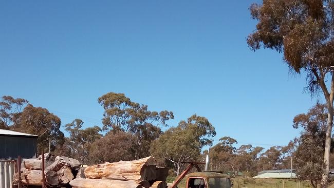 Back Paddock Paddock Bombs - George Allan sent in this picture of this Commer Q4. He says after it finished its life in the Army it was used for many years in the timber industry, logging out of the Pyrenees Ranges to the Lamplough Sawmill via Avoca Vic. The sawmill was owned by George's father Buster Allan. George says: 