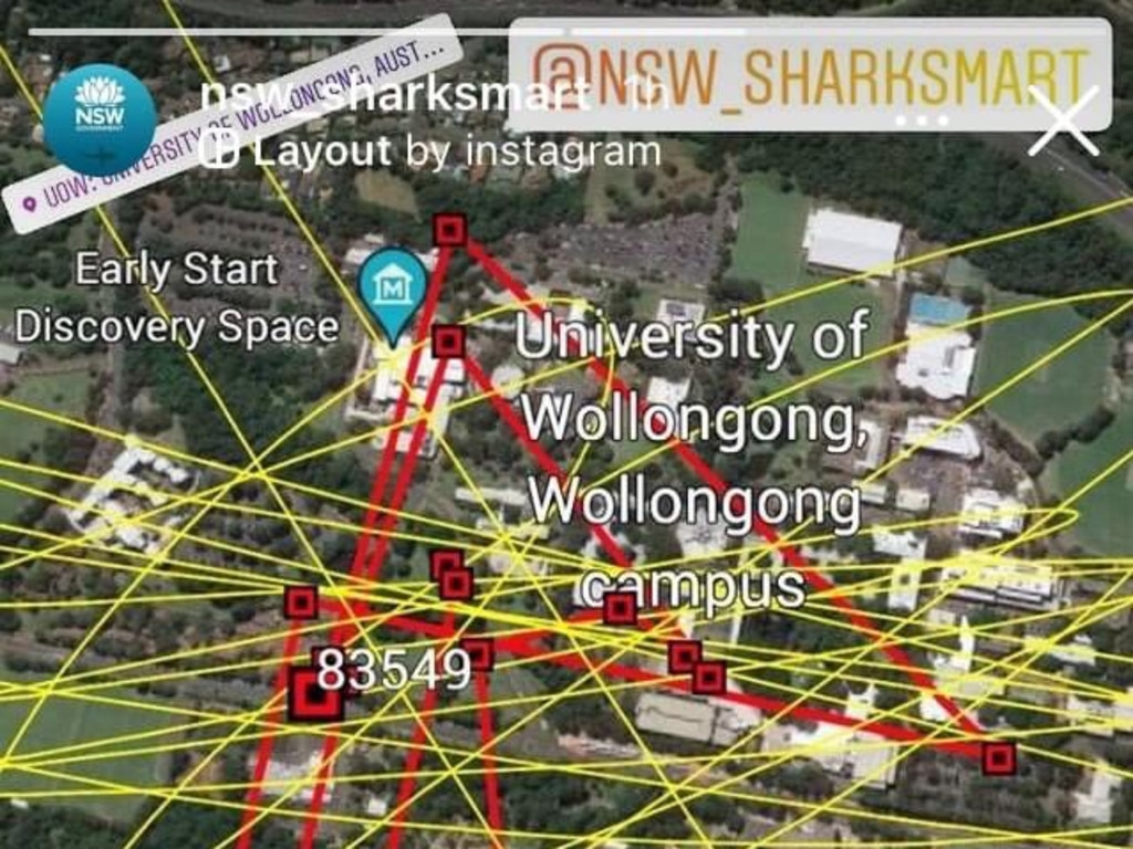 According to the GPS data, the shark tag has been crossing the University of Wollongong campus.