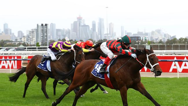 September Run charges home to win the Coolmore Stud Stakes. Photo: Robert Cianflone/Getty Images