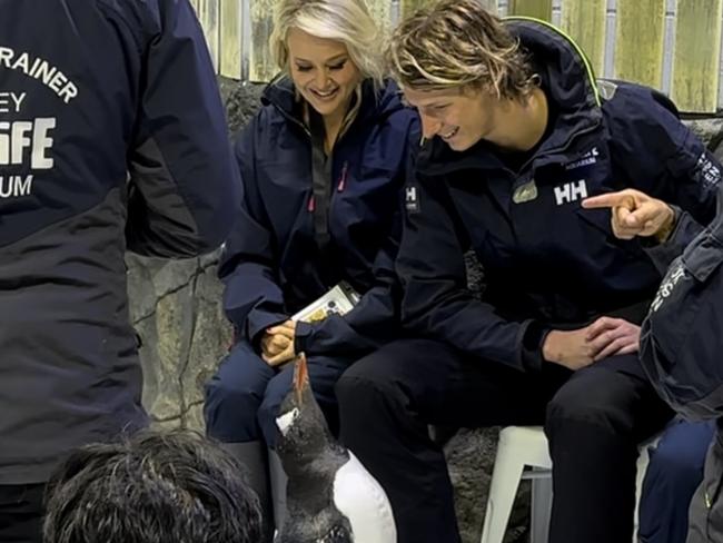 Jana Hocking having a relationship realisation in a penguin enclosure. Picture: Supplied