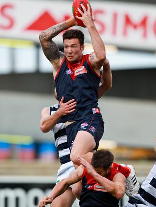 Mitch Clark takes a big mark against the Cats.