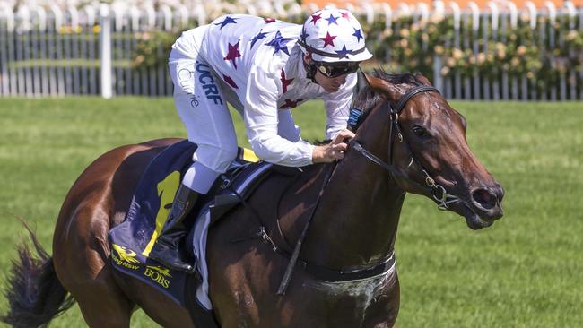 Jockey Luke Currie says Sunlight still has improvement in her for the Golden Slipper. Picture: AAP