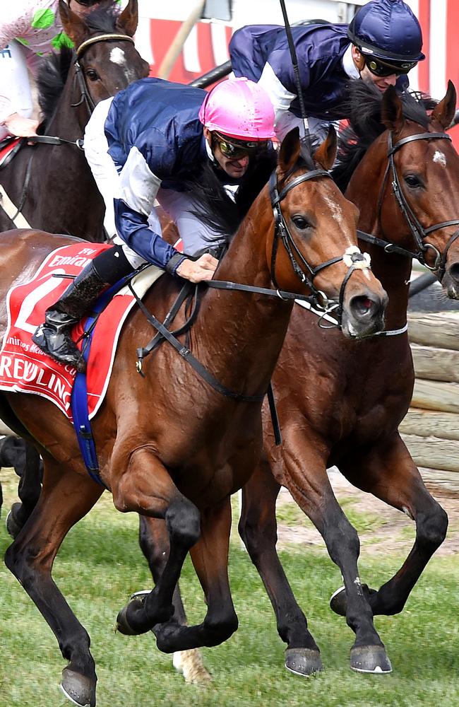 Corey Brown (pink cap) and Rekindling win last year’s Melbourne Cup. The reigning champion will not defend his crown. Picture: Nicole Garmston