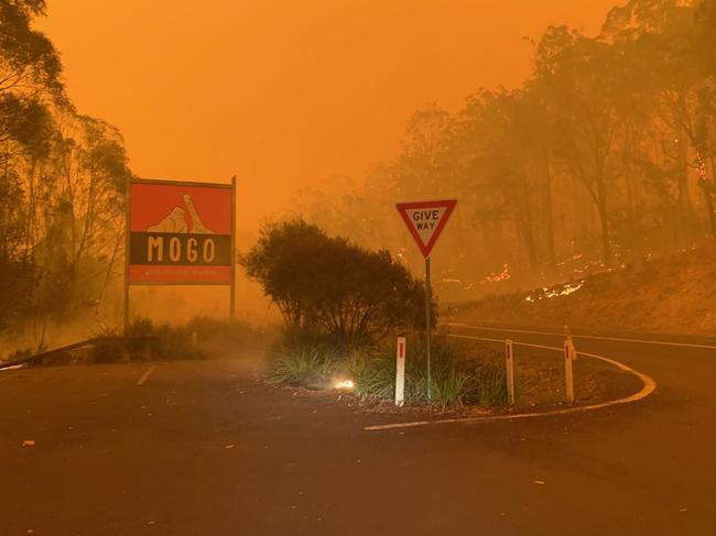 Bushfire smoke over Mogo Zoo Supplied picture