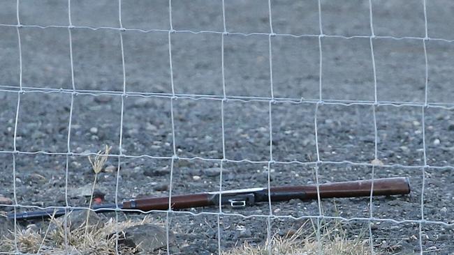 Police found a rifle on the ground near the Bringelly home where an alleged home invasion took place on Monday night.