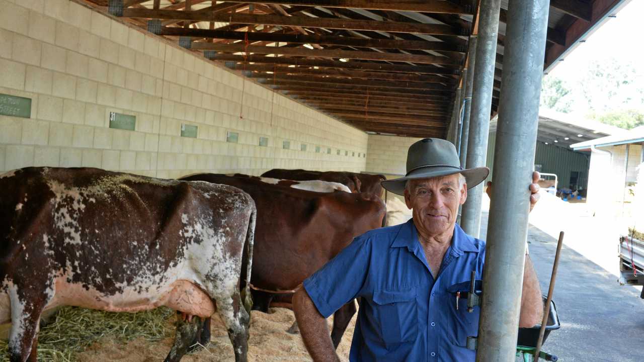 GOOD BLOKE: Chief Gympie Show dairy steward Ray Zerner missed out on the Power 30 - but should he have? Picture: Renee Albrecht