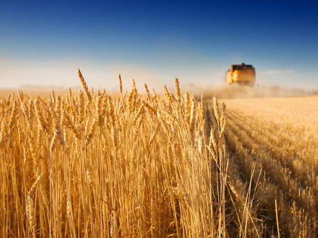 Earlier-than-expected grain exports have helped improve ag’s export values for 2020-21.