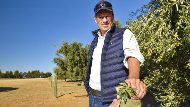 Rob McGavin at Boundary Bend in northwestern Victoria. Picture: Dannika Bonser