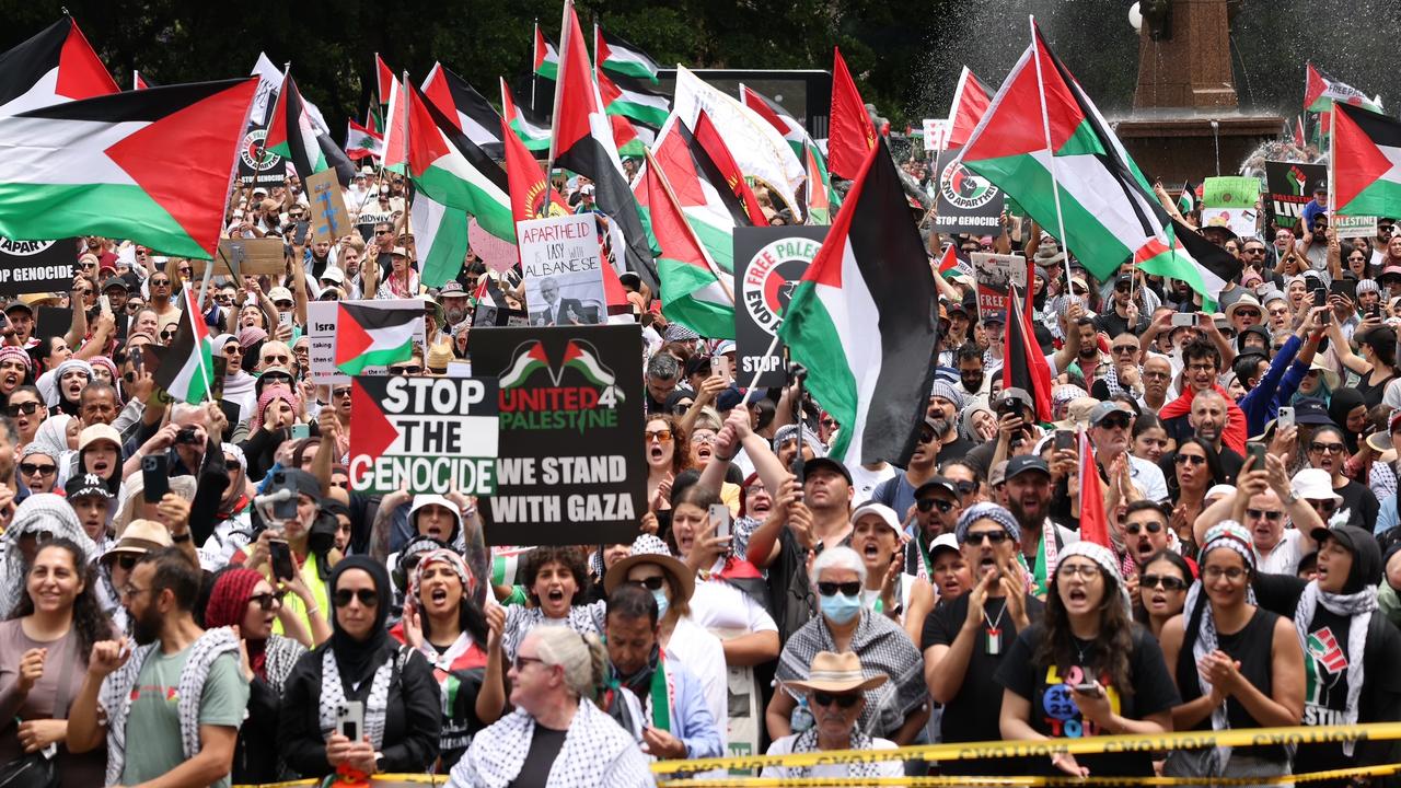 Attendees stood in solidarity with Palestine and called on a ceasefire. Picture: NCA NewsWire / Dylan Robinson