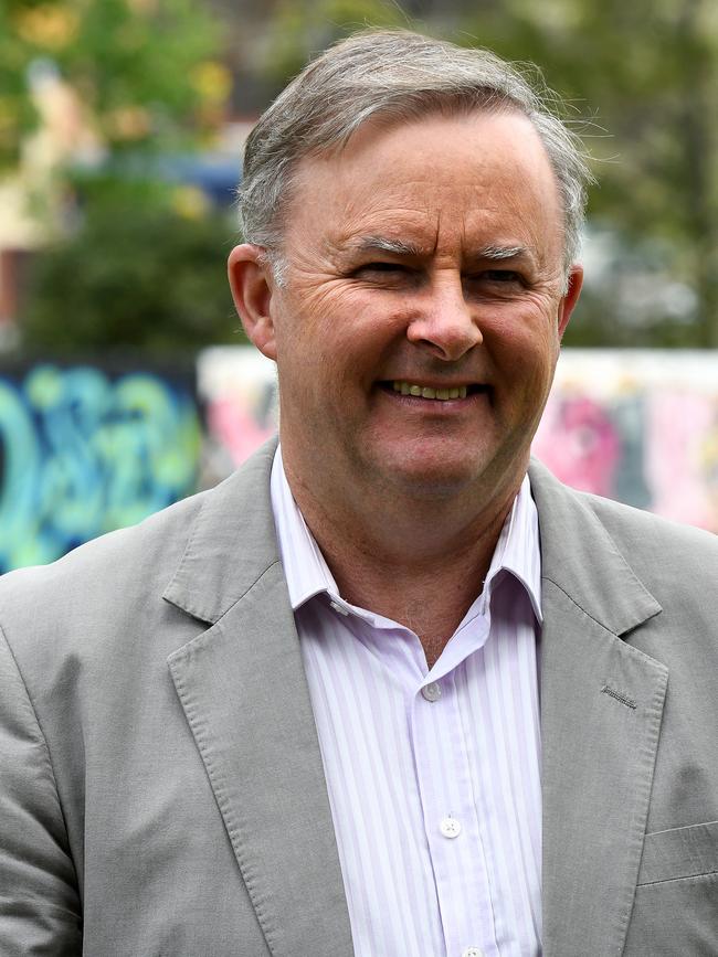 Anthony Albanese was nearly dragged into the hearing. Picture: AAP Image/Bianca De Marchi