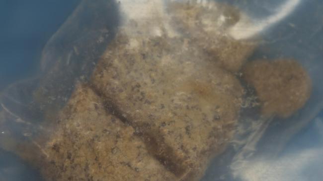 An item seized in a raid by Strike Force Pallamana detectives in the Hunter Valley