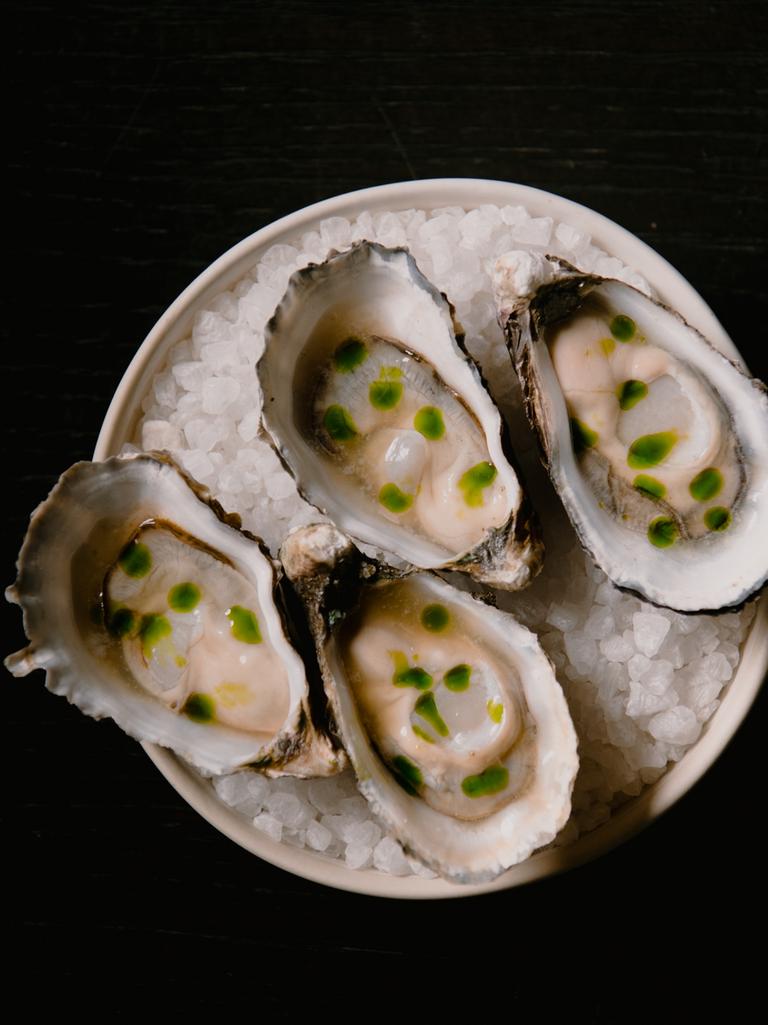 Pacific oysters.