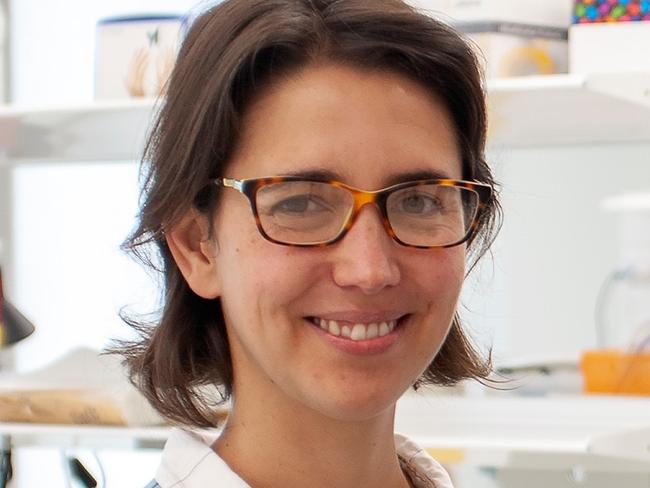 Dr Tessa Gargett is an immunologist and cell therapy specialist working at the Centre for Cancer Biology, UniSA and the Royal Adelaide Hospital.