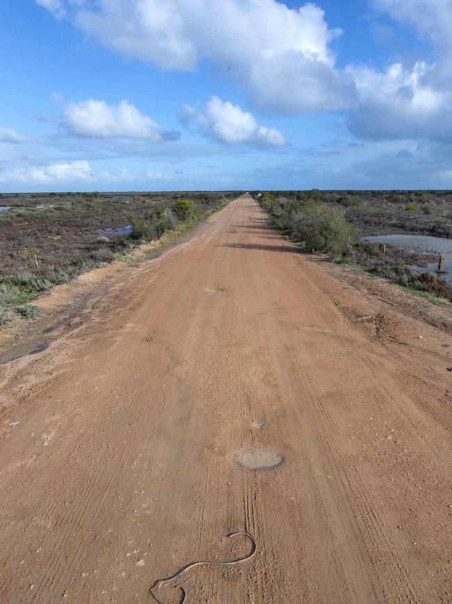 General view of Port Gawler road where police originally alleged Mr McGhee was found. Picture: Mark Brake