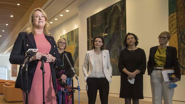 North Sydney MP Kylea Tink alongside fellow independents Zali Steggall, Allegra Spender, Monique Ryan and Zoe Daniel.