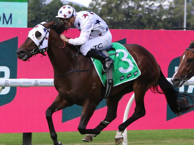 Progressive colt Dublin Down is backing is looking to cause an upset in the Golden Slipper opn Saturday. Picture: Grant Guy