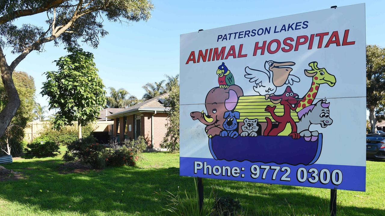Melbourne's best vets: Where to find the city's top 10 vets | Herald Sun