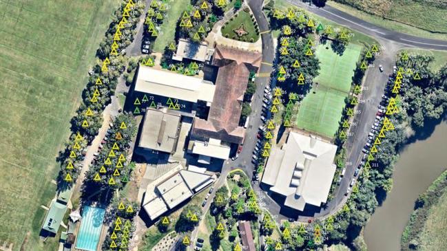 Almost 500 trees at St John's College Woodlawn were assessed by professional arborists.