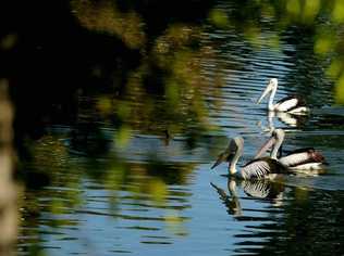 The body of a woman was pulled from Ululah Lagoon on Saturday. . Picture: Robyne Cuerel