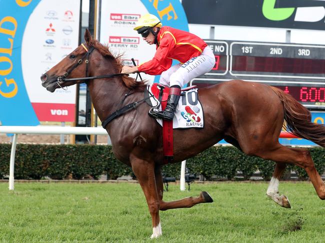 Metropolitan race meeting at the Gold Coast Turf Club.Winner of race 3, number 10, Sneaky Glance.Jockey is Jeff Lloyd. Trainer is Toby Edmonds.Photo by Richard Gosling