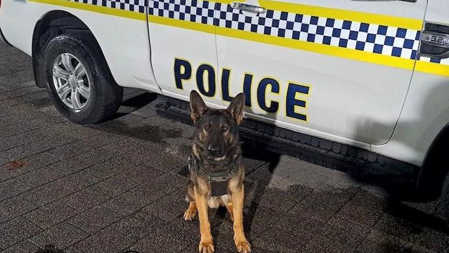 PD Cooper tracked the alleged thief. Photo: SA Police