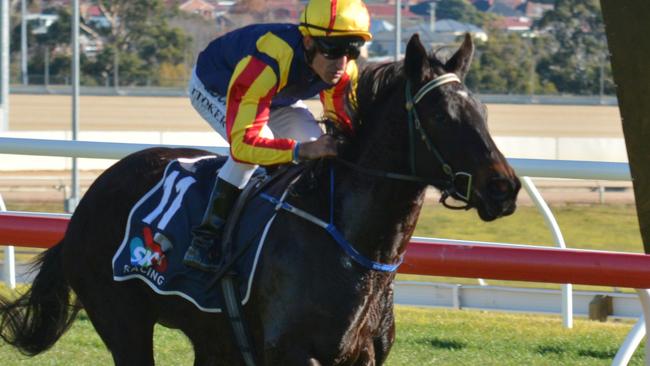 Lady Pluck cruises to an effortless maiden win in Hobart in July last year. 