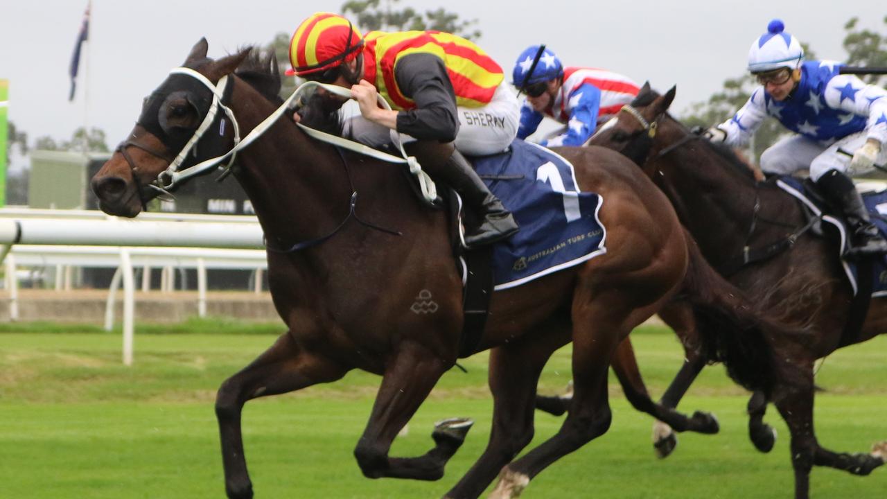 Solar Apex looks a good chance at odds in Race 5 at Rosehill on Saturday. Picture: Grant Guy