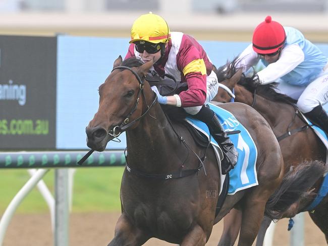 Arabian Summer puts herself in Magic Millions contention by winning the Gold Pearl at the Gold Coast for jockey Harry Coffey. Picture: Grant Peters - Trackside Photography