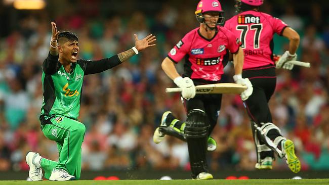 Sandeep Lamichhane appeals for a wicket during the Stars’s big win. Picture: Getty