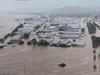 $100m in nuts lost, entire cow herds drown in floods