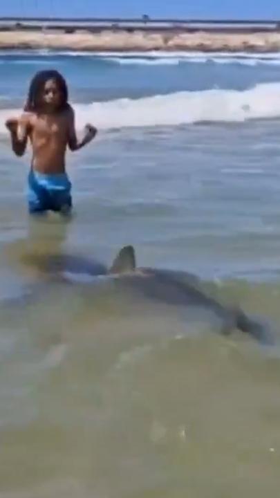 Massive shark swims straight at young child