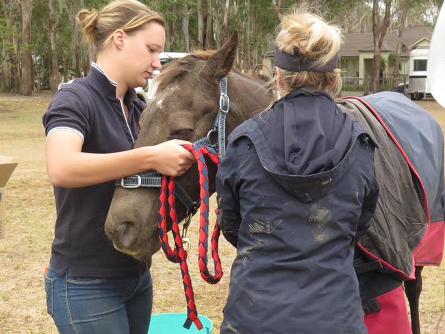 Matilda is helped after being freed. Pictures: Fire and Rescue NSW