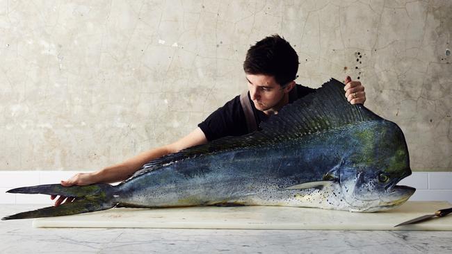 Chef Josh Niland, owner of Saint Peter fame. Picture: Rob Palmer