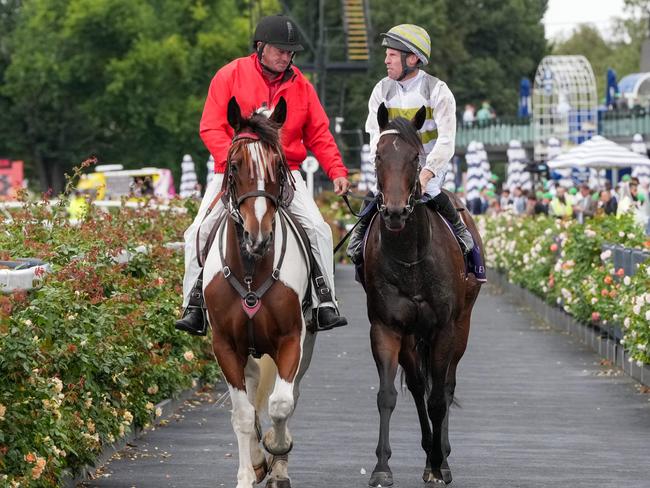 Skybird ridden by John Allen returns to the mounting yard after winning the Black Caviar Lightning at Flemington Racecourse on February 15, 2025 in Flemington, Australia. (Photo by George Sal/Racing Photos via Getty Images)