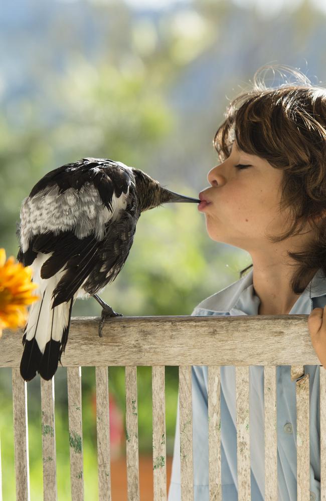 Mr Bloom’s stunning pictures became a hit around the world. Picture: Supplied/Cameron Bloom