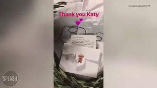 Katy Perry offers Taylor Swift an olive branch