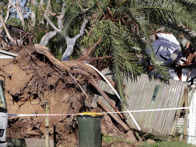 Storm Damage at 28 Gallipoli Rd, Camp Hill - on Thursday 16th January 2025 - Photo Steve Pohlner