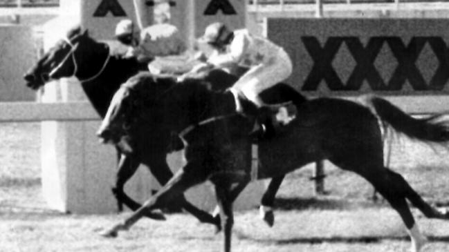 Racehorse Bold Personality (inside), racing as Fine Cotton, defeats Harbour Gold before being disqualified during race in Brisbane in 08/1984.