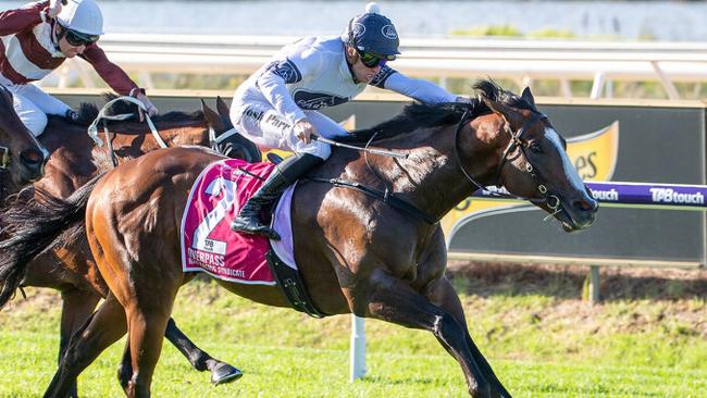 Winterbottom Stakes champ Overpass winning The Quokka in April.