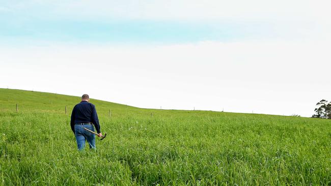 Energy Minister Angus Taylor says significant criticisms of the country’s carbon credit scheme are a direct attack on farmers, traditional owners and public servants. Picture: Andy Rogers