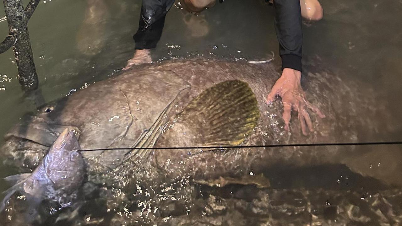 There are plenty of fish in the sea, but not many quite as large as the giant goliath grouper reeled in by a Territory angler and his mates just west of Darwin. Picture: Supplied